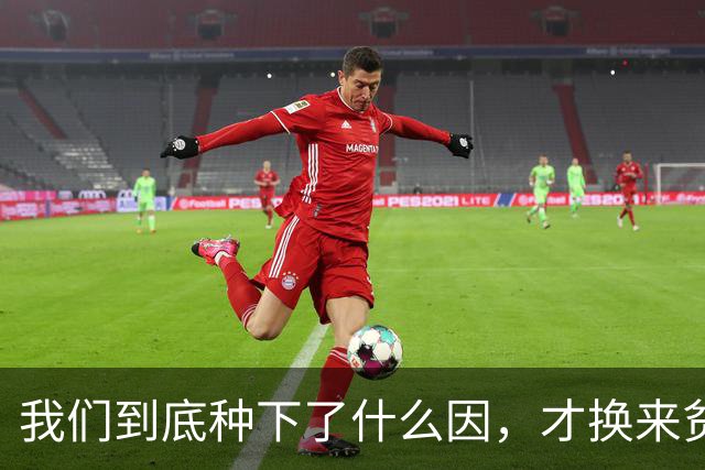 我们到底种下了什么因，才换来贫富分化、年轻人不婚不育的果？